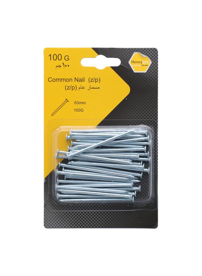 Corrosion-Resistant Zinc Plated Common Nail Silver 63mm ZY15345