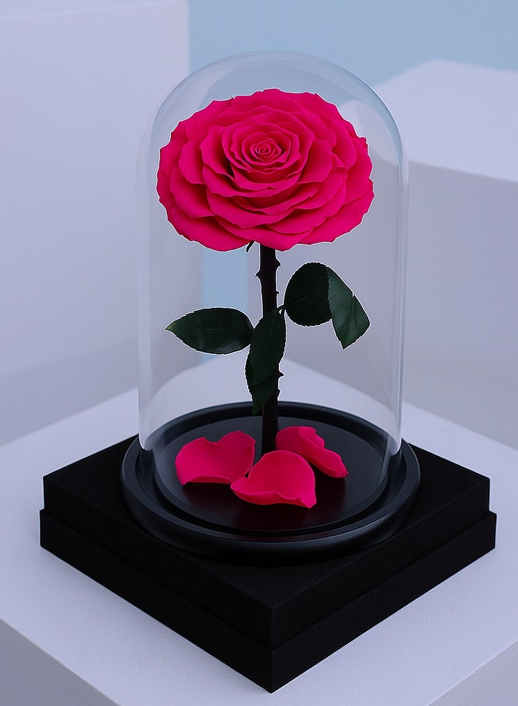 BYYU Forever Dark Pink Rose