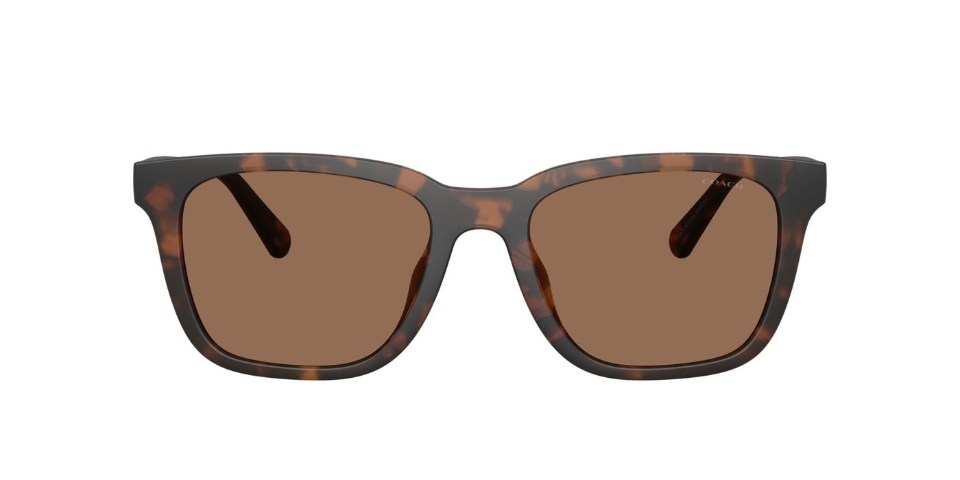 نظارة شمسية رجالي كوتش