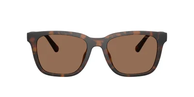 COACH Coach Man Injected Sunglasses