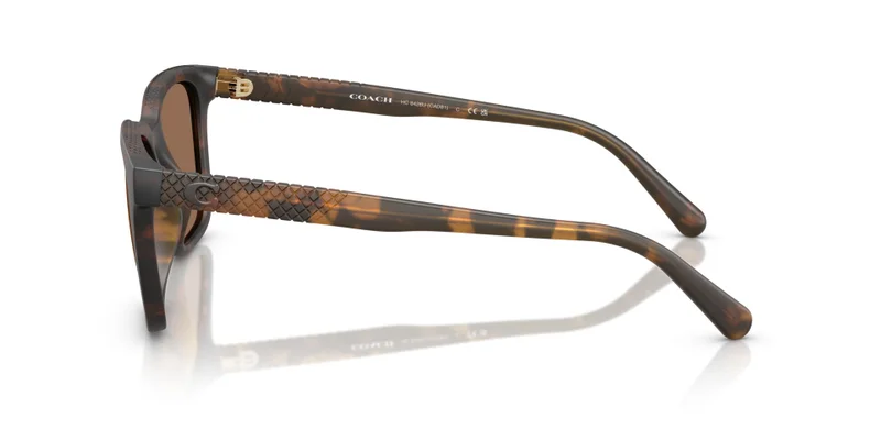 COACH Coach Man Injected Sunglasses