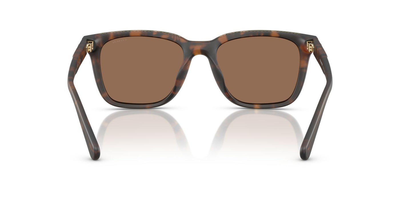 نظارة شمسية رجالي كوتش