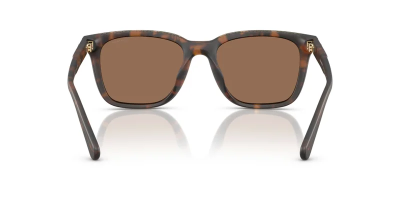 COACH Coach Man Injected Sunglasses