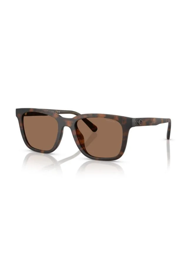 COACH Coach Man Injected Sunglasses