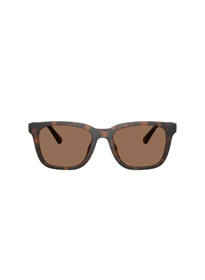 COACH Coach Man Injected Sunglasses