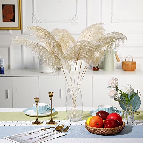 Ballinger Large Champagne Ostrich Feathers - 12pcs 24-26inch Feathers Making Kit Boho Feathers for Vase,Wedding Party Centerpieces and Home Decor - Image 5