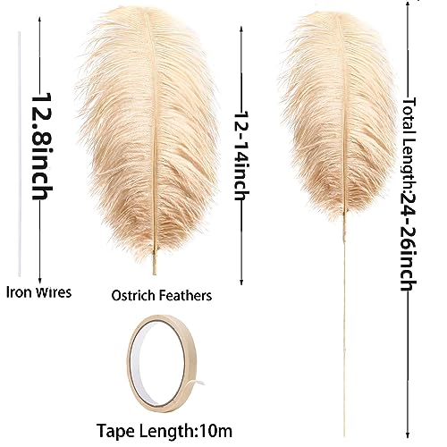 Ballinger Large Champagne Ostrich Feathers - 12pcs 24-26inch Feathers Making Kit Boho Feathers for Vase,Wedding Party Centerpieces and Home Decor - Image 3