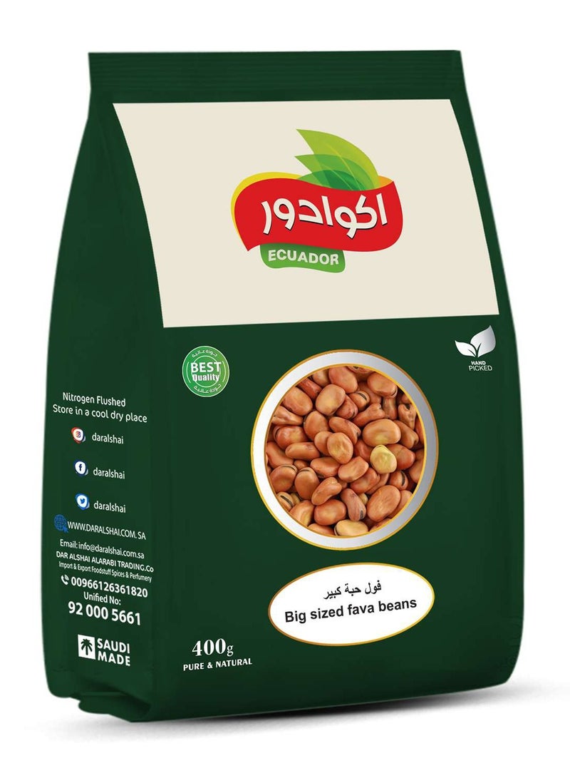 Large Fava Beans 400 g