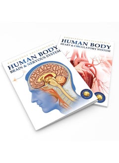 Wonder House Books Human Body - Brain And Nervous System: Knowledge Encyclopedia For Children  - Image 2