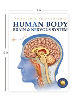 Wonder House Books Human Body - Brain And Nervous System: Knowledge Encyclopedia For Children  - Image 3
