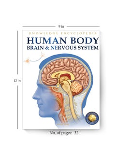 Wonder House Books Human Body - Brain And Nervous System: Knowledge Encyclopedia For Children  - Image 4