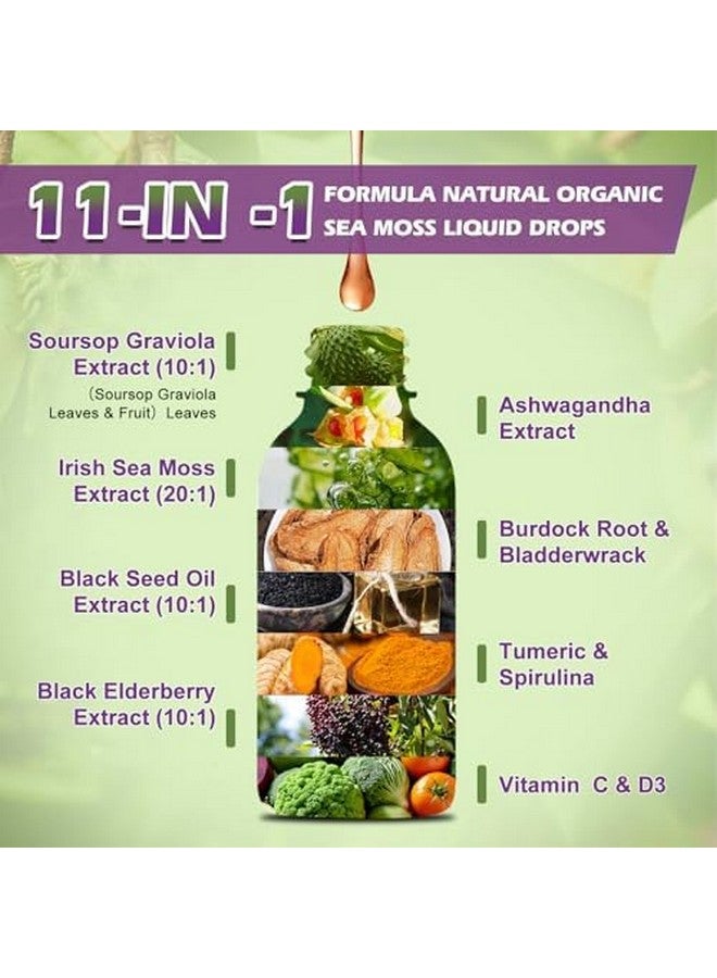 B BEWORTHS Sea Moss Liquid Drops - Irish Sea Moss Black Seed Oil with Ashwagandha, Soursop Bitters, Elderberry, Burdock Root, Bladderwrack, Multimineral Seamoss Supplement Support Antioxidant, Immune, Gut Health - Image 2