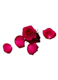 BENAMÕR Benamor Rose Amelie Shower Cream With Argan Oil And Aloe Vera Hydrating And Revitalizing Body Wash Delicate Rose Scent Paraben Free Vegan 500ml  - Image 3