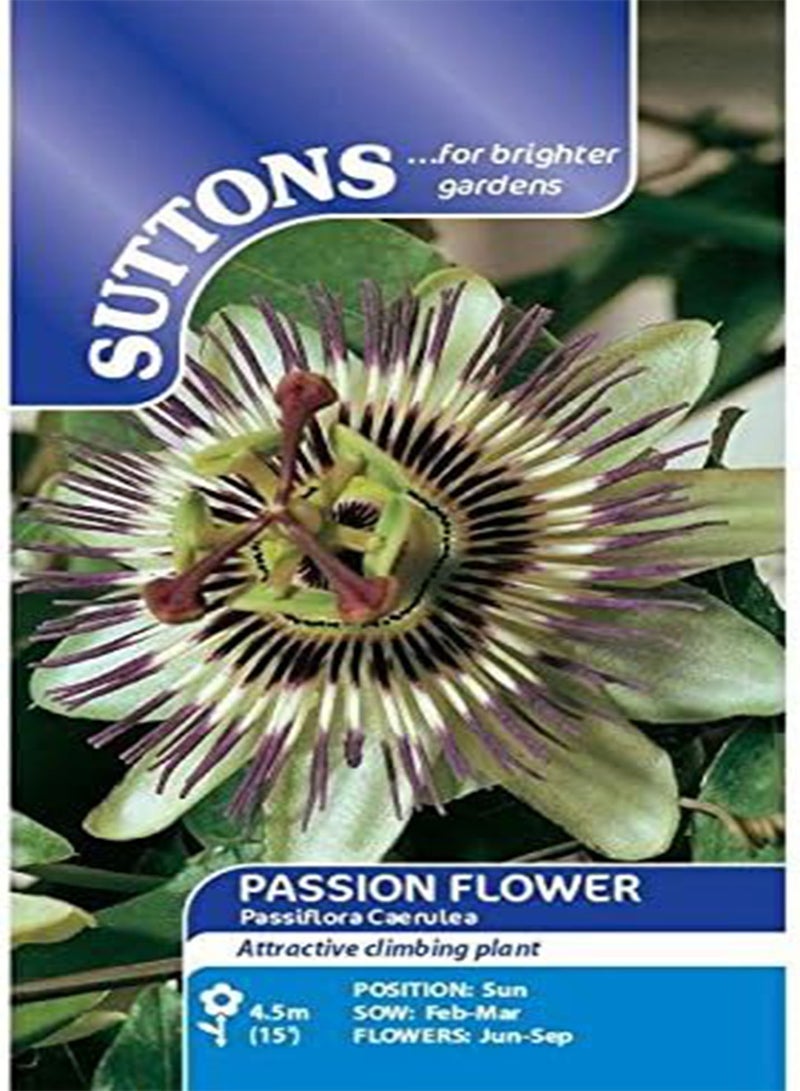 GGOOT seeds   Passion Flower seeds   caerulea - Image 1