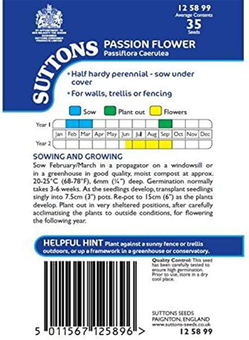 GGOOT seeds   Passion Flower seeds   caerulea - Image 2