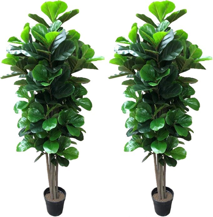 PACK OF TWO 2 GORGEOUS DENSE 5 FIDDLE LEAF FIG TREE ARTIFICIAL SILK PLANT WITH NURSERY POT FEEL REAL TECHNOLOGY SUPER QUALITY GREEN