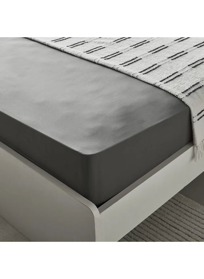 Home Box Essential Cotton Queen Fitted Sheet 200 x 36 x 150 cm