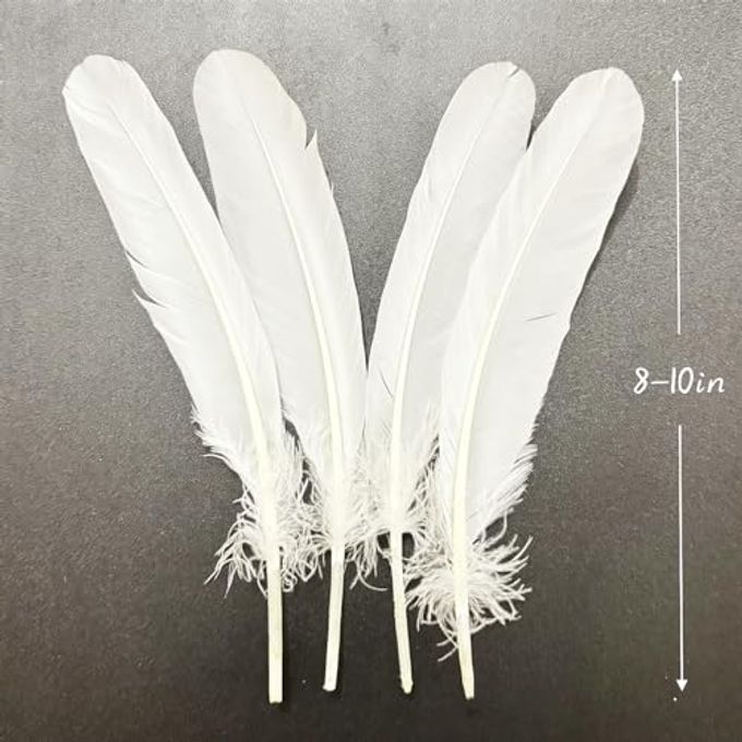 XKTEI White Feathers,Natural Big Long Goose Feather,8-10 inches (20-25cm),Large Size Bilateral Feathers,Left and Right Wings for Crafts,Bulk 12pcs (Natural White) - Image 3