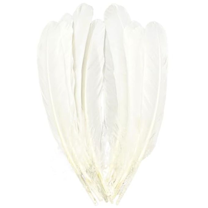 XKTEI White Feathers,Natural Big Long Goose Feather,8-10 inches (20-25cm),Large Size Bilateral Feathers,Left and Right Wings for Crafts,Bulk 12pcs (Natural White) - Image 1
