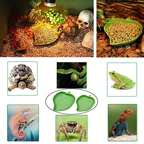 XDONEF 3pcs Tortoise Food Dish with Ramp and Basking Platform Leaf Tortoise Water Food Bowls Reptile Water Dish Turtle Reptile Pool for Amphibians Brown - Image 5