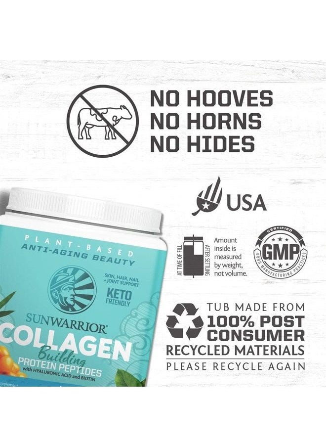Sunwarrior Vegan Collagen Building Powder Protein Peptide with Biotin Vitamin C Hyaluronic Acid Collagen Protein Powder for Hair Skin Nail Dairy Free Gluten Free | Unflavored Collagen Powder by Sunwarrior  - Image 4
