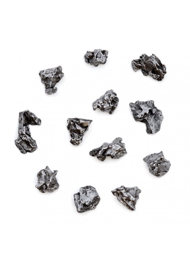 DANCING BEAR Meteorite from Space, 5 pcs Campo del Cielo from Argentina/Educational Card & Magnifying Box - Image 3