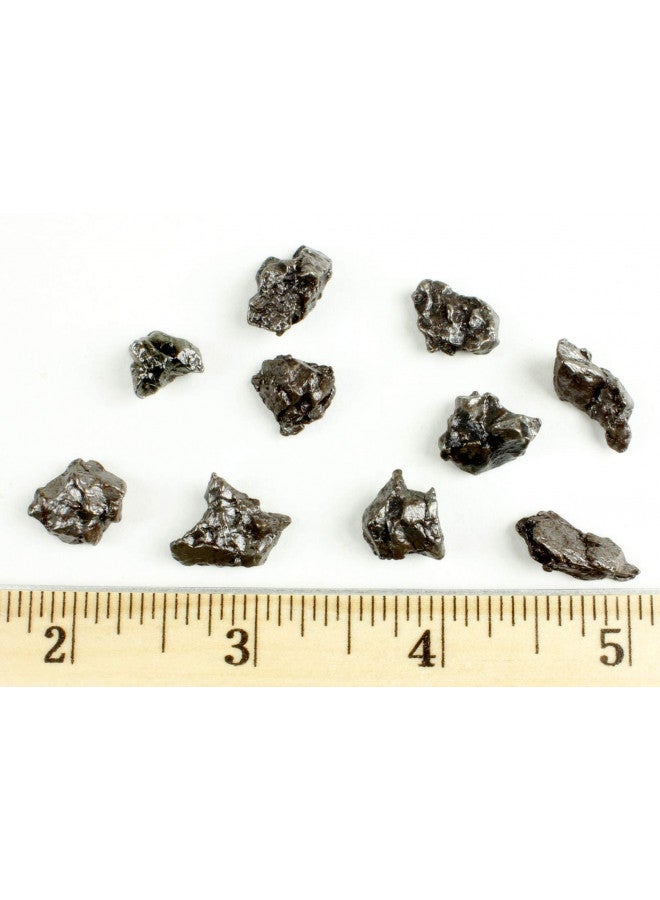 DANCING BEAR Meteorite from Space, 5 pcs Campo del Cielo from Argentina/Educational Card & Magnifying Box - Image 4