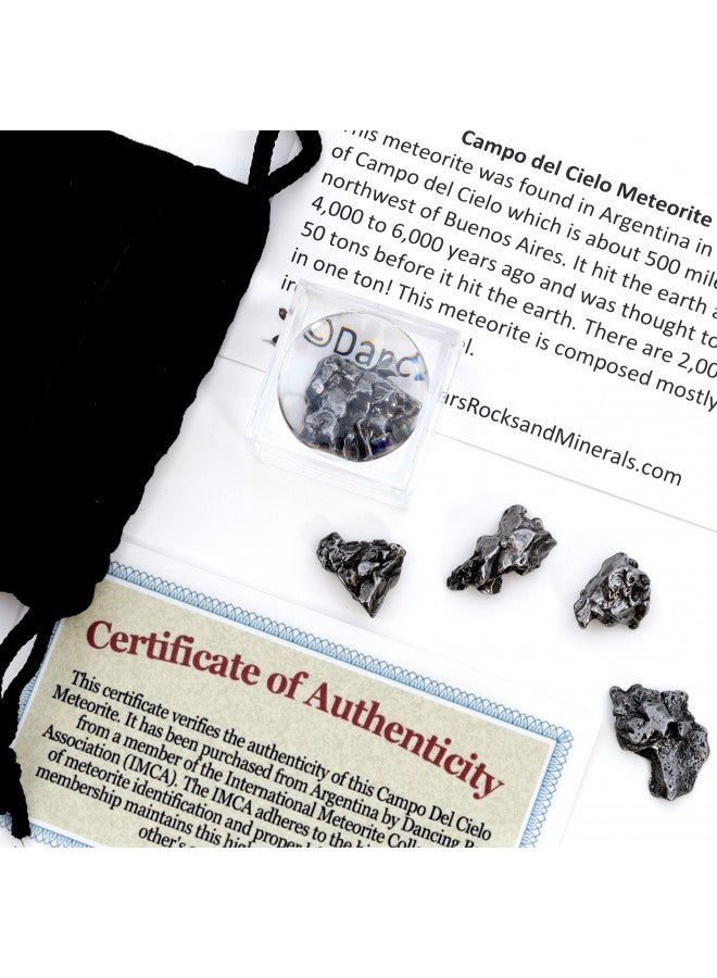 DANCING BEAR Meteorite from Space, 5 pcs Campo del Cielo from Argentina/Educational Card & Magnifying Box - Image 1