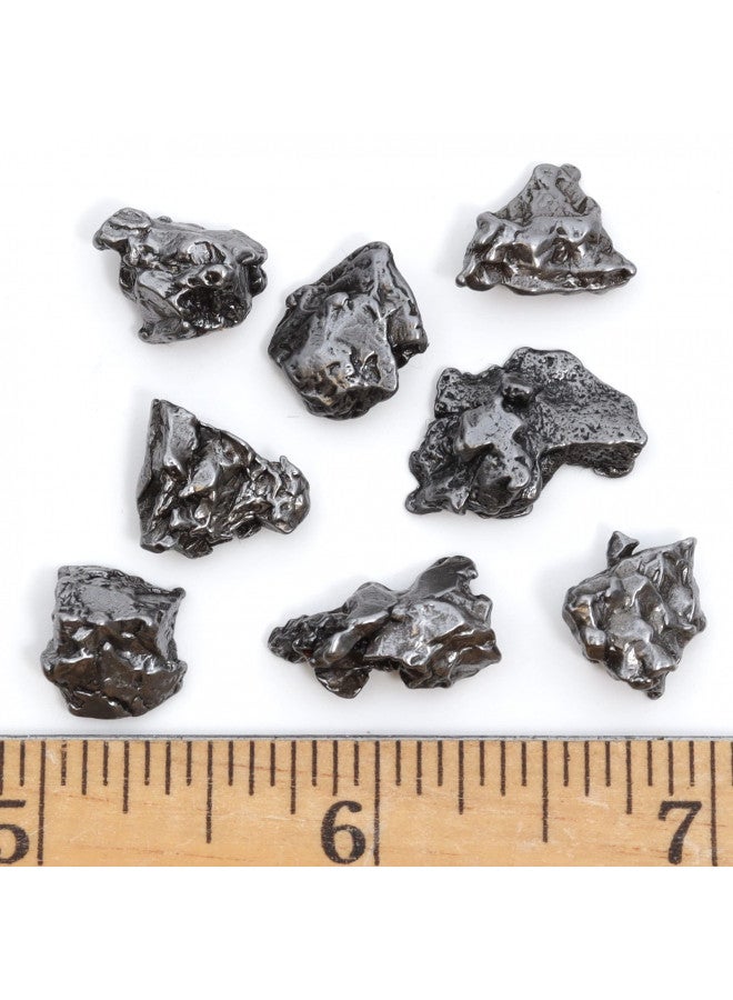 DANCING BEAR Meteorite from Space, 5 pcs Campo del Cielo from Argentina/Educational Card & Magnifying Box - Image 2