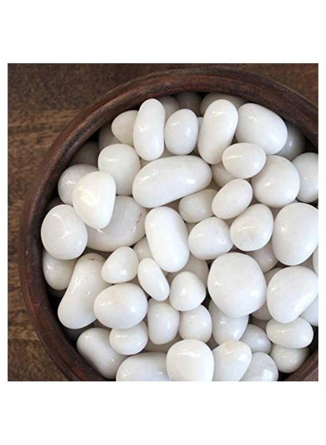 1st Time Dcor Pebbles/Stone for Fish Aquarium, Garden, Plant Vase, White, WT. 450 gm- S15 - Image 3