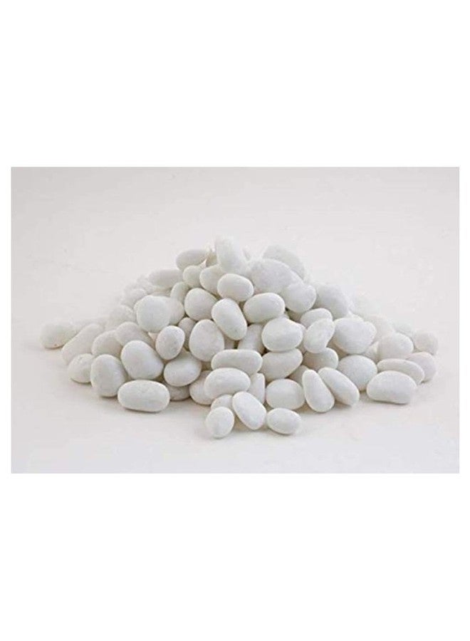 1st Time Dcor Pebbles/Stone for Fish Aquarium, Garden, Plant Vase, White, WT. 450 gm- S15 - Image 1