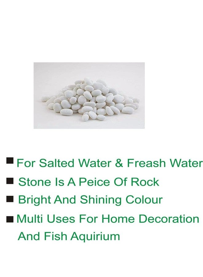 1st Time Dcor Pebbles/Stone for Fish Aquarium, Garden, Plant Vase, White, WT. 450 gm- S15 - Image 4