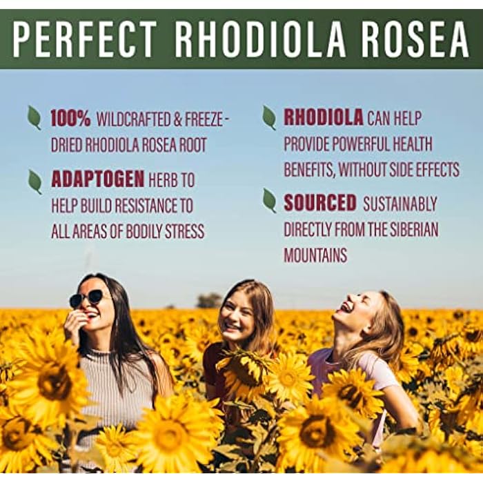 Perfect Supplements Rhodiola Rosea, for Better Focus, Energy, and Stress Relief, Optimal 3% Rosavins to 1% Salidroside Ratio, a Natural Adaptogen ~60 Vegetable Capsules - Image 4