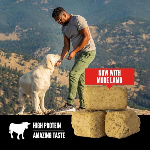 ORIJEN Grain Free High Protein Freeze Dried Dog Treats Regional Red Recipe 3.25oz Bag - Image 3