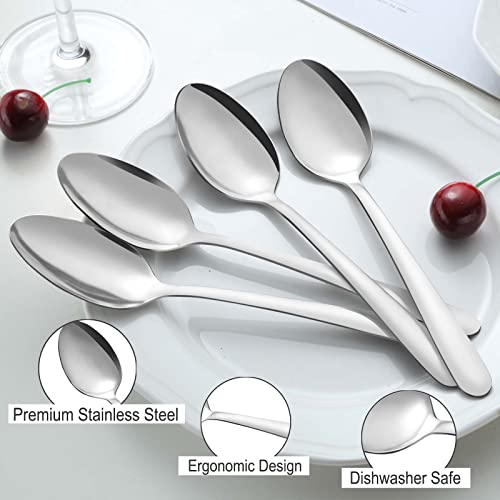 Pleafind 24 -Pcs Dinner Spoons, 7.4 inch Spoons Silverware, Stainless Steel Spoons Set, Silver Spoons, Silverware Spoons Use for Home, Kitchen, Restaurant,Dishwasher Safe, Mirror Polished - Image 3