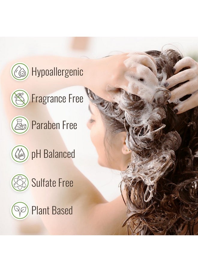 وايلد ناتشورلز - مجموعة شامبو وبلسم Wild Naturals لعلاج الأكزيما للرجال والنساء - شامبو مضاد للقشرة لفروة الرأس الجافة والشعر - تسكين مهدئ لحكة فروة الرأس - شامبو لعلاج الصدفية لفروة الرأس - Image 1