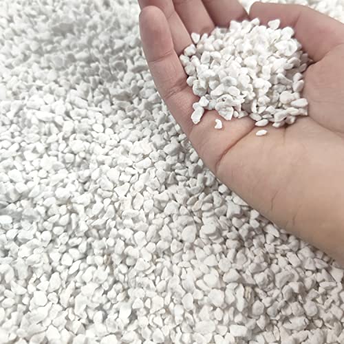 MDPQT 10 QT Professional Grade Horticultural Organic Perlite (10 QT, Perlite) - Image 1