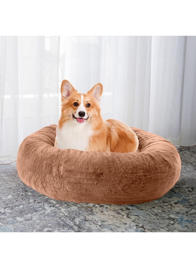 PETMAKER Dog Bed - Donut Dog Bed and Cat Bed for Medium Pets - Dog Bed with Removable Washable Cover and Nonslip Bottom - Puppy Essentials (Beige) - Image 2