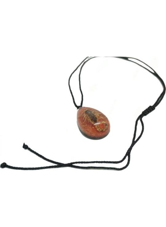 Profisher - Drop Resin Inside Real 6 Buds Scorpion Necklace Adjustable Braided Thread Sandy - Image 1