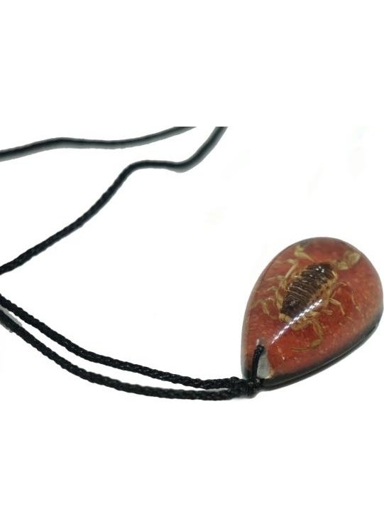 Profisher - Drop Resin Inside Real 6 Buds Scorpion Necklace Adjustable Braided Thread Sandy - Image 1