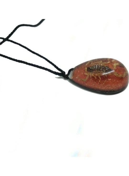 Profisher - Drop Resin Inside Real 6 Buds Scorpion Necklace Adjustable Braided Thread Sandy - Image 1