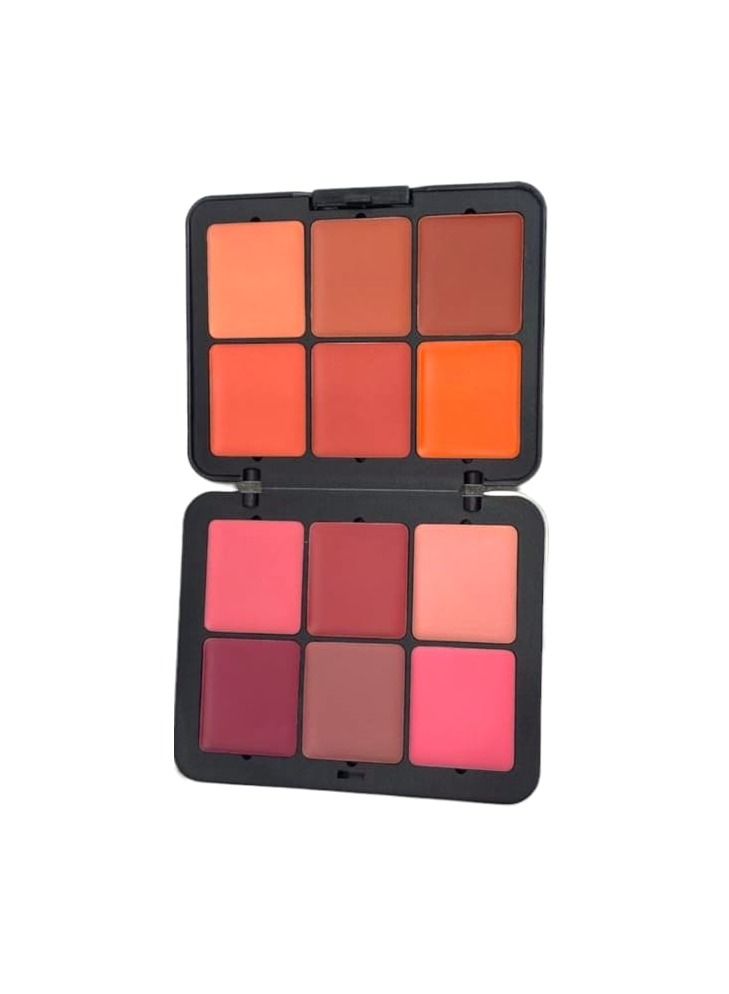 Generic Blush with Professional Contour Palette and Contour Correction Palette Best Quality Collection 
