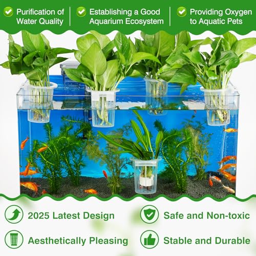 Borlech 2025 New Upgraded Large Aquarium Plant Holder with 1.57-inch Extension Hooks and Suction Cups for Fish Tank Aquaponic Plant Cultivation and Aquascape Accessories Decorations (4 PCS) Transparent - Image 2