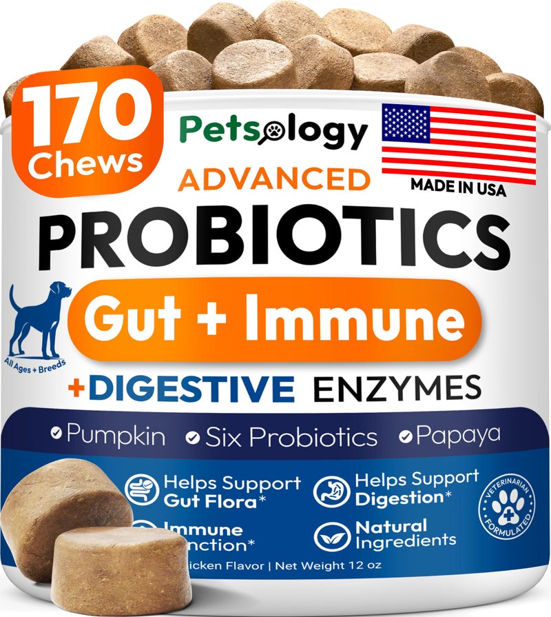 Petsology Probiotics for Dogs - 170 Dog Probiotics Chews - Digestive Enzymes & Prebiotics - Support Gut Health, Diarrhea, Gas & Constipation Relief - Itchy Skin, Allergies, Yeast Balance - Advanced Supplement - Image 1