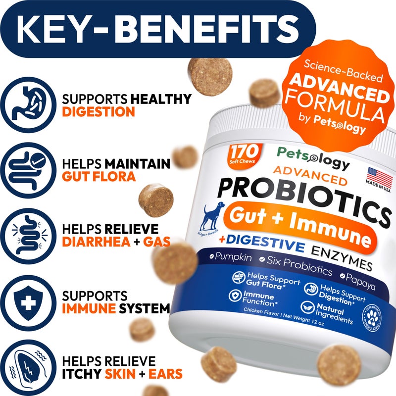 Petsology Probiotics for Dogs - 170 Dog Probiotics Chews - Digestive Enzymes & Prebiotics - Support Gut Health, Diarrhea, Gas & Constipation Relief - Itchy Skin, Allergies, Yeast Balance - Advanced Supplement - Image 2