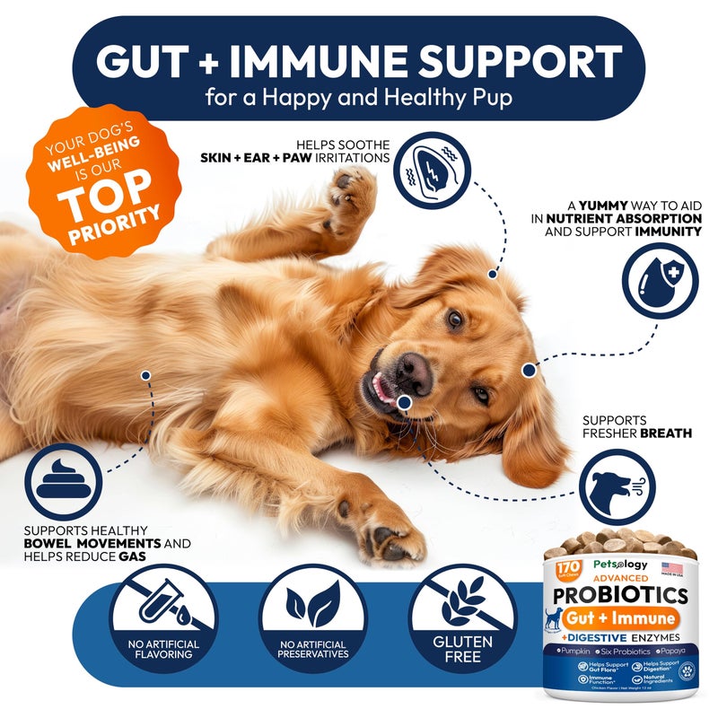 Petsology Probiotics for Dogs - 170 Dog Probiotics Chews - Digestive Enzymes & Prebiotics - Support Gut Health, Diarrhea, Gas & Constipation Relief - Itchy Skin, Allergies, Yeast Balance - Advanced Supplement - Image 4