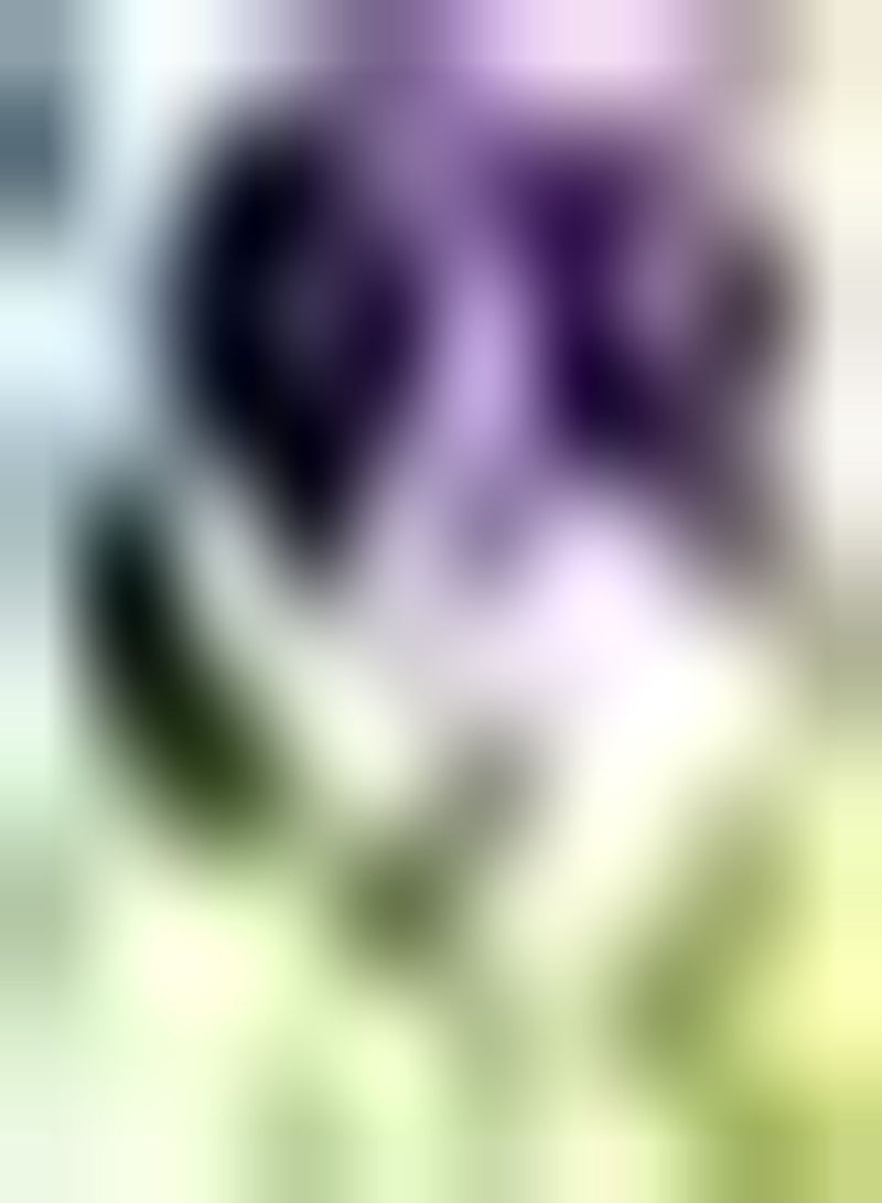 GGOOT 10 lila Freesien Zwiebeln schöne Gartendekoration schaffen einzigartige künstlerische Landschaft ohne viel Pflege dekorativ wirtschaftlicher Wert - Image 1