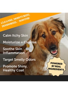 Pet Honesty Dog Allergy Relief AntiItch Shampoo For Dogs And Cats  Dog Skin And Coat Supplement, Itch Relief For Dogs, Moisturizing And Hydrating Coconut Oil + Vitamin E, Deodorizing Coat (16 Oz)  - Image 2
