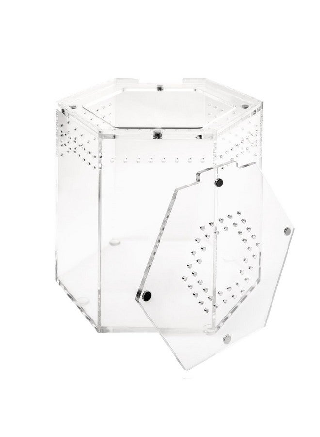 Generic Acrylic Tarantula Enclosure T-Hex, 5.79 x 5.39 x 5.39 Plant Greenhouse, Small Tree Plant Dwelling Reptiles, Jumping Spider Cage, Reptiles  - Image 3