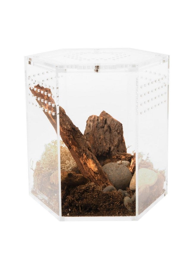 Generic Acrylic Tarantula Enclosure T-Hex, 5.79 x 5.39 x 5.39 Plant Greenhouse, Small Tree Plant Dwelling Reptiles, Jumping Spider Cage, Reptiles  - Image 5